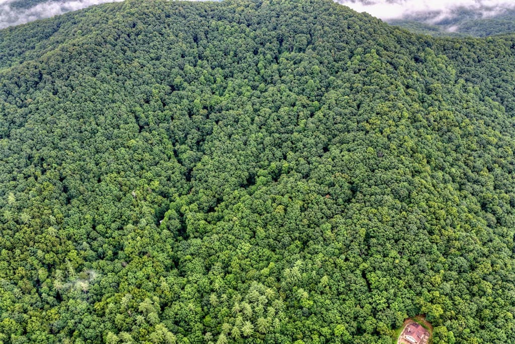 1138 Douglas Mountain Trail, Ellijay GA 30540 - Photo