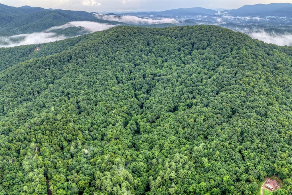 1138 Douglas Mountain Trail, Ellijay GA 30540 - Photo