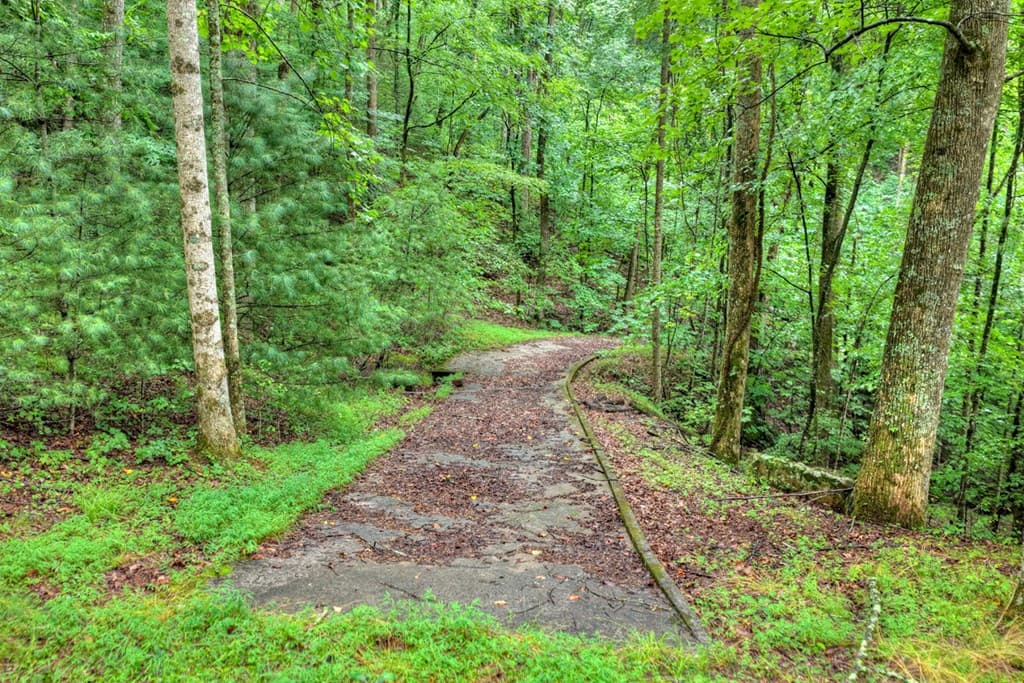 1138 Douglas Mountain Trail, Ellijay GA 30540 - Photo