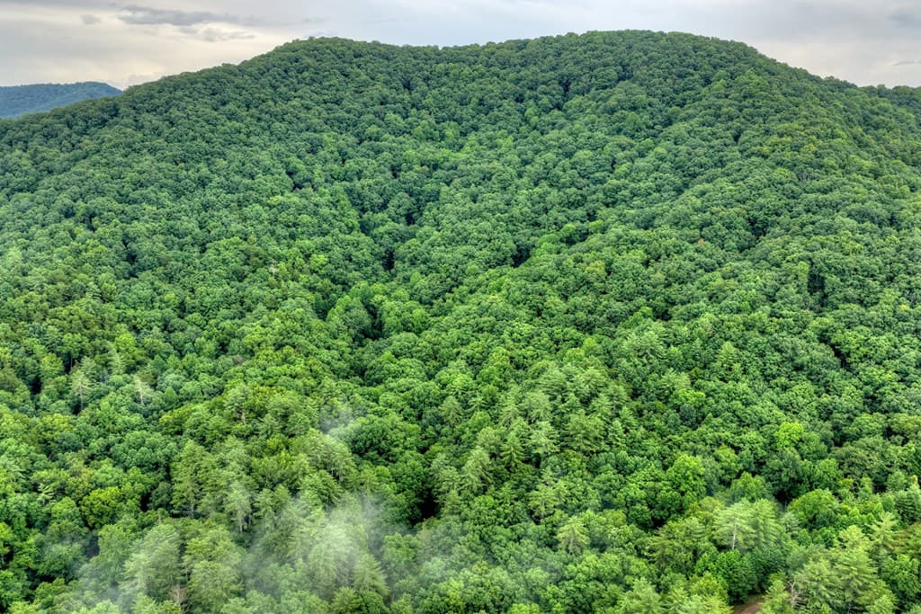 1138 Douglas Mountain Trail, Ellijay GA 30540 - Photo