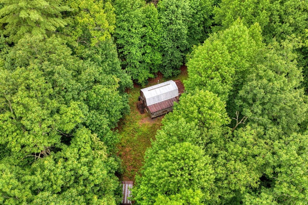 1138 Douglas Mountain Trail, Ellijay GA 30540 - Photo