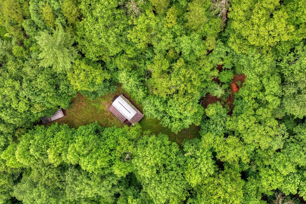 1138 Douglas Mountain Trail, Ellijay GA 30540 - Photo