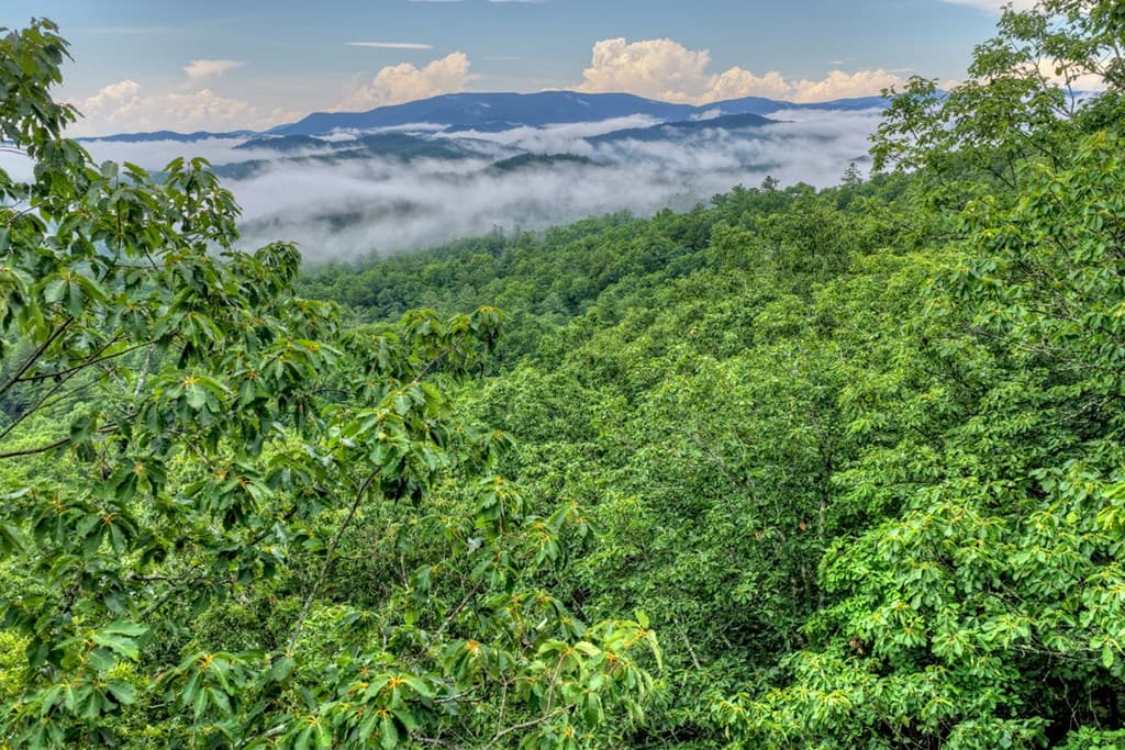 1138 Douglas Mountain Trail, Ellijay GA 30540 - Photo