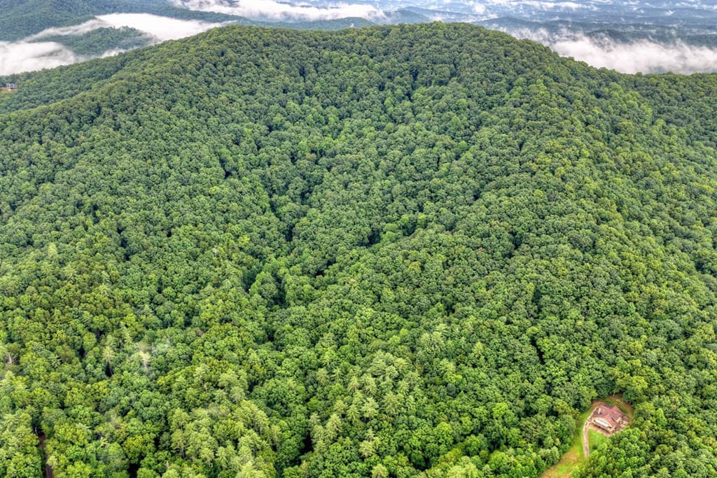 1138 Douglas Mountain Trail, Ellijay GA 30540 - Photo