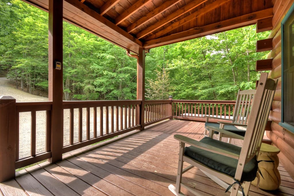 54 Channing Hollow, Morganton GA 30560 - Photo
