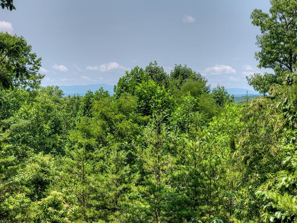 54 Channing Hollow, Morganton GA 30560 - Photo