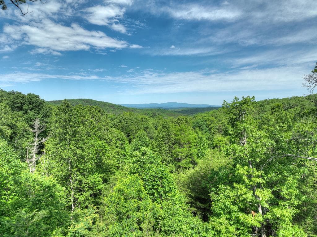54 Channing Hollow, Morganton GA 30560 - Photo
