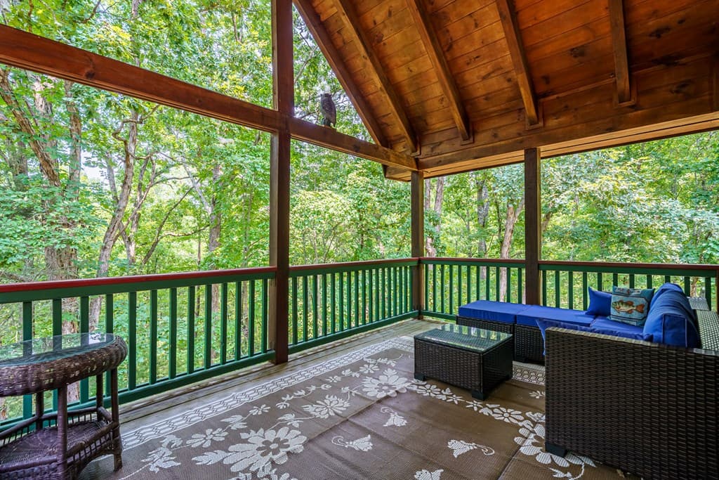 24 Indian Lake Road, Mineral Bluff GA 30559 - Photo