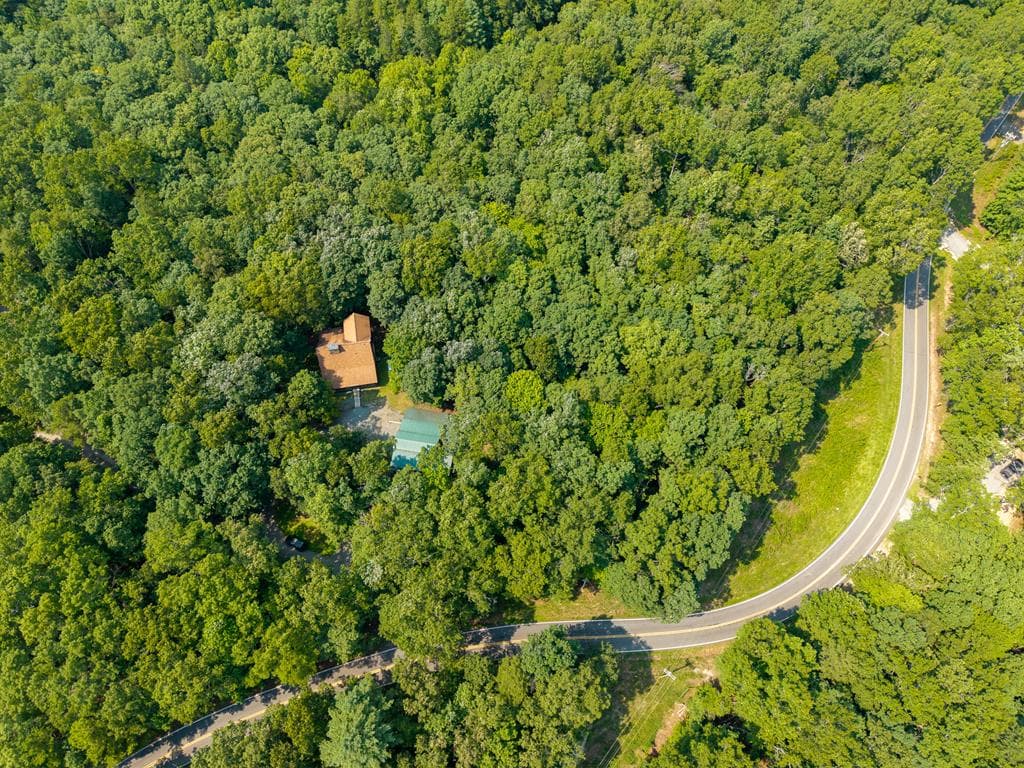 24 Indian Lake Road, Mineral Bluff GA 30559 - Photo