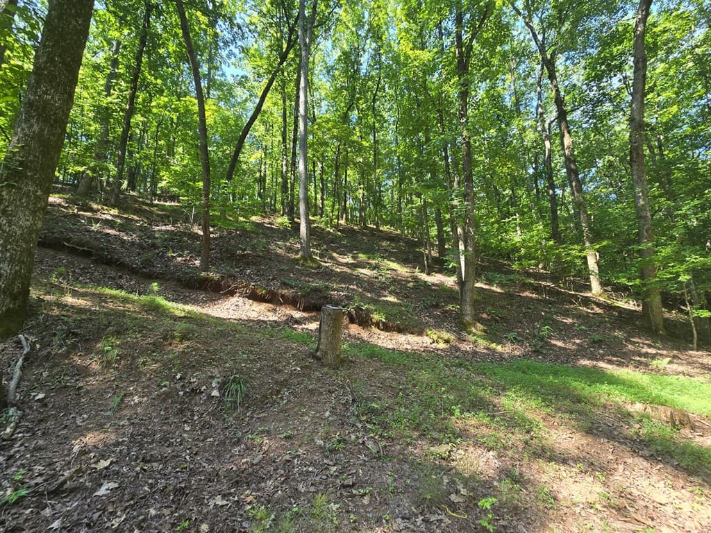200 Cross Creek Trail, Jasper GA 30143 - Photo