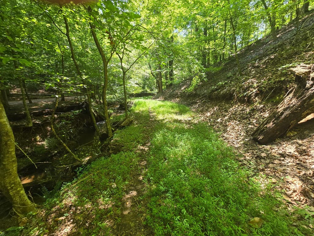200 Cross Creek Trail, Jasper GA 30143 - Photo
