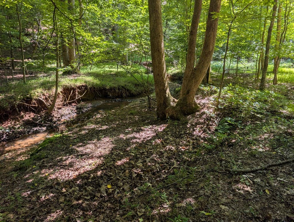200 Cross Creek Trail, Jasper GA 30143 - Photo