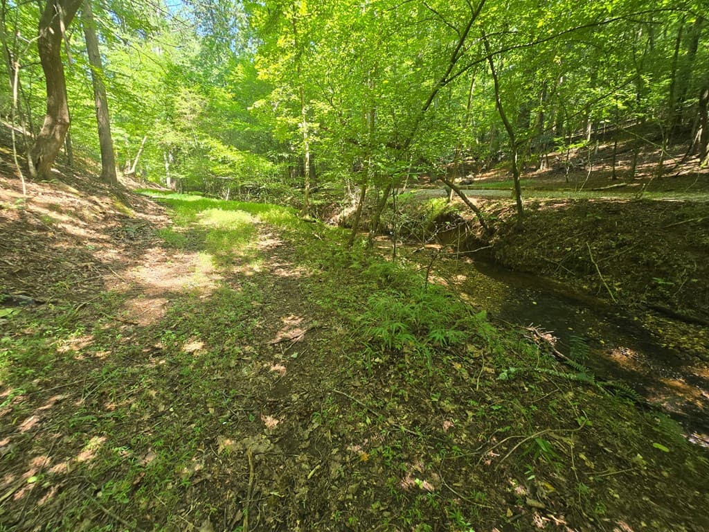 200 Cross Creek Trail, Jasper GA 30143 - Photo