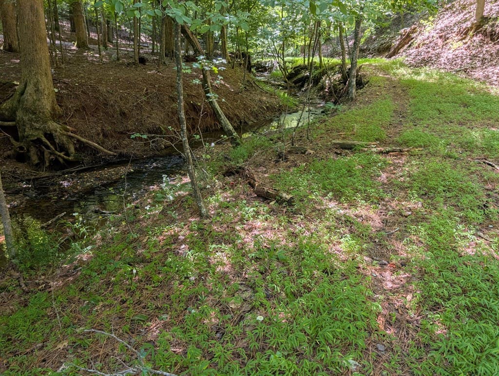 200 Cross Creek Trail, Jasper GA 30143 - Photo
