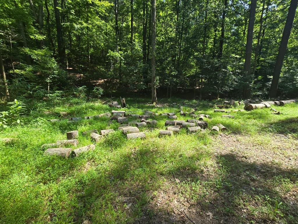 200 Cross Creek Trail, Jasper GA 30143 - Photo