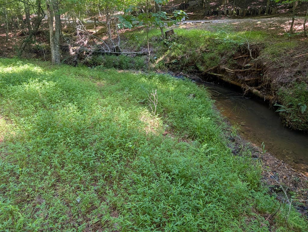 200 Cross Creek Trail, Jasper GA 30143 - Photo