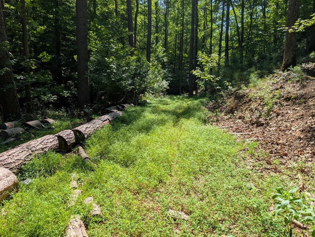 200 Cross Creek Trail, Jasper GA 30143 - Photo
