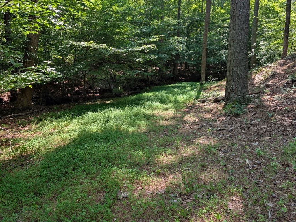 200 Cross Creek Trail, Jasper GA 30143 - Photo