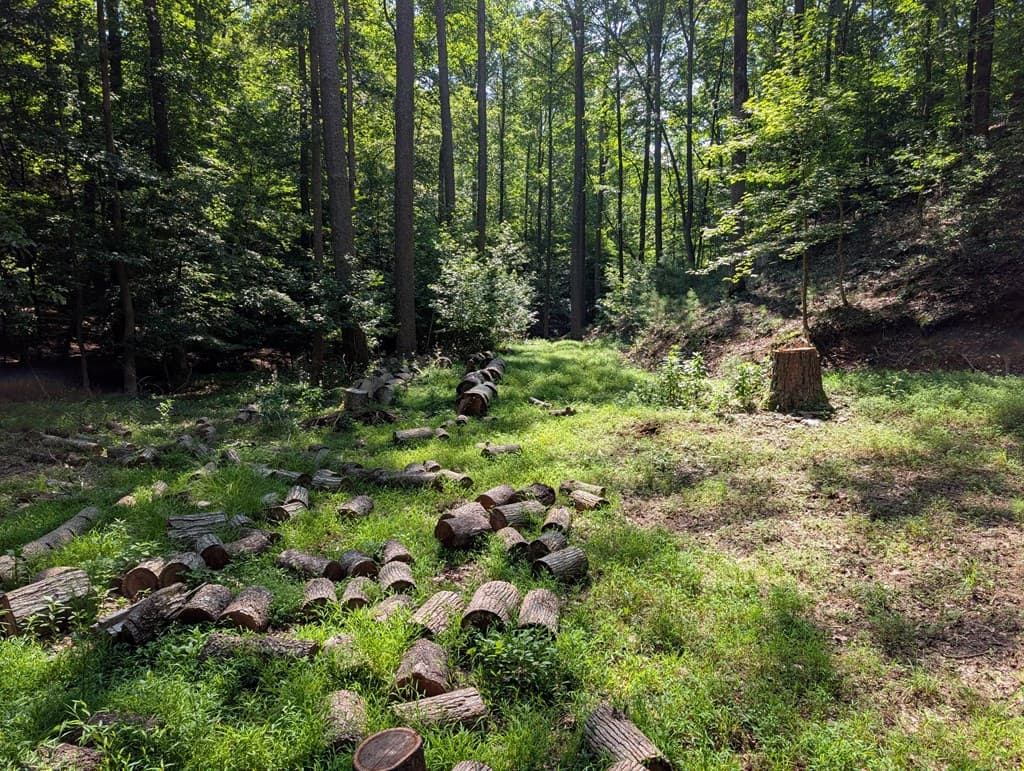 200 Cross Creek Trail, Jasper GA 30143 - Photo