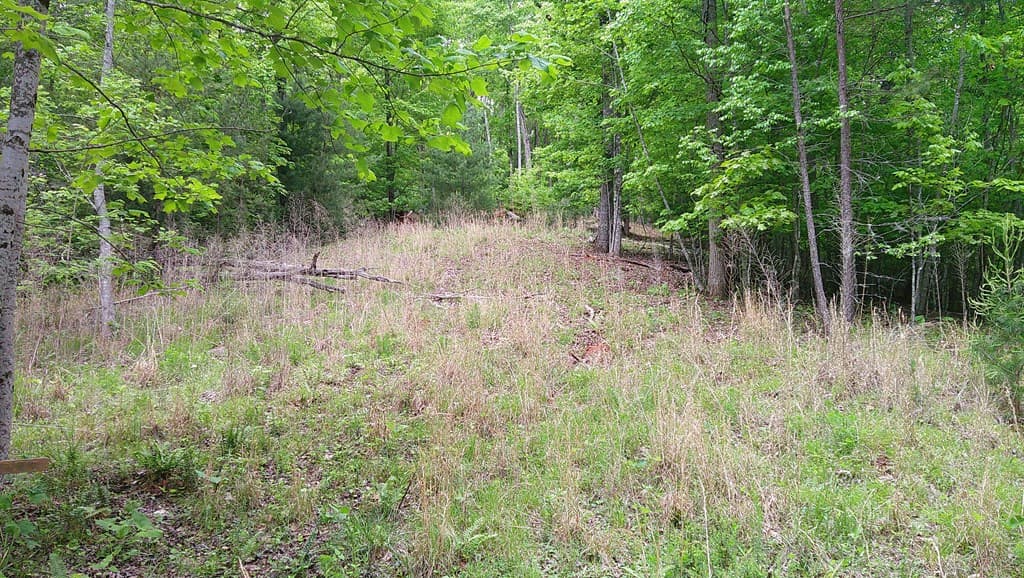 00 Tracks Hollow, Murphy NC 28906 - Photo
