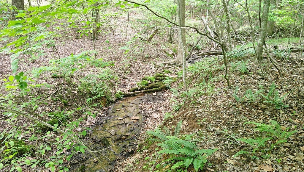 00 Tracks Hollow, Murphy NC 28906 - Photo
