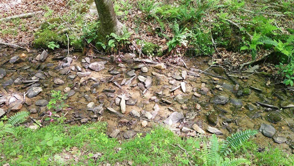 00 Tracks Hollow, Murphy NC 28906 - Photo