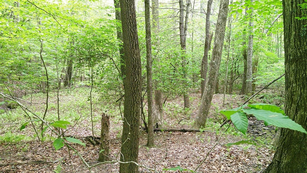 00 Tracks Hollow, Murphy NC 28906 - Photo