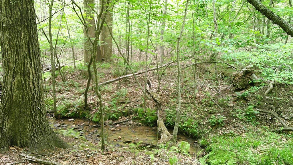 00 Tracks Hollow, Murphy NC 28906 - Photo