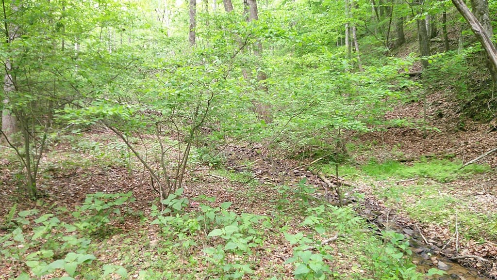 00 Tracks Hollow, Murphy NC 28906 - Photo