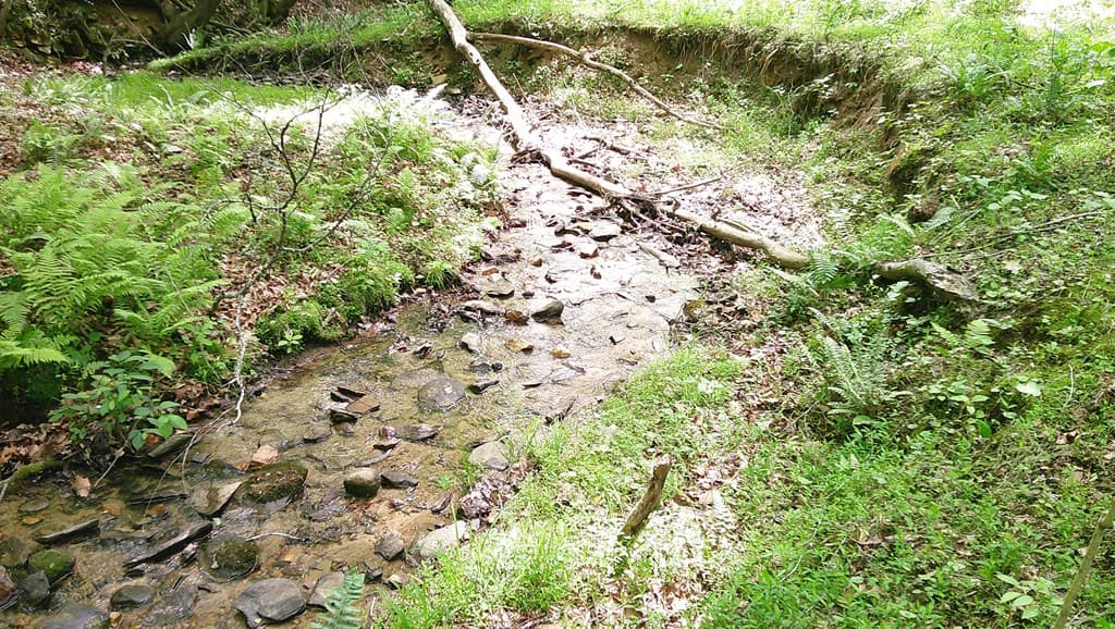 00 Tracks Hollow, Murphy NC 28906 - Photo