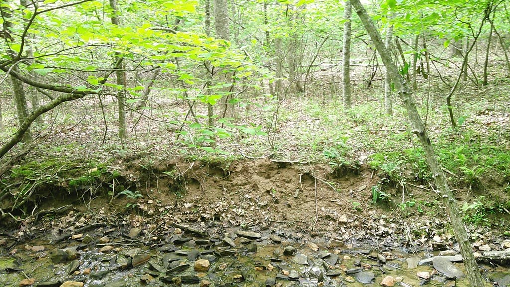 00 Tracks Hollow, Murphy NC 28906 - Photo