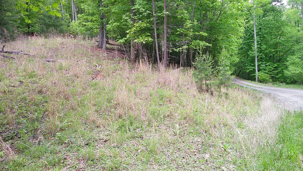 00 Tracks Hollow, Murphy NC 28906 - Photo