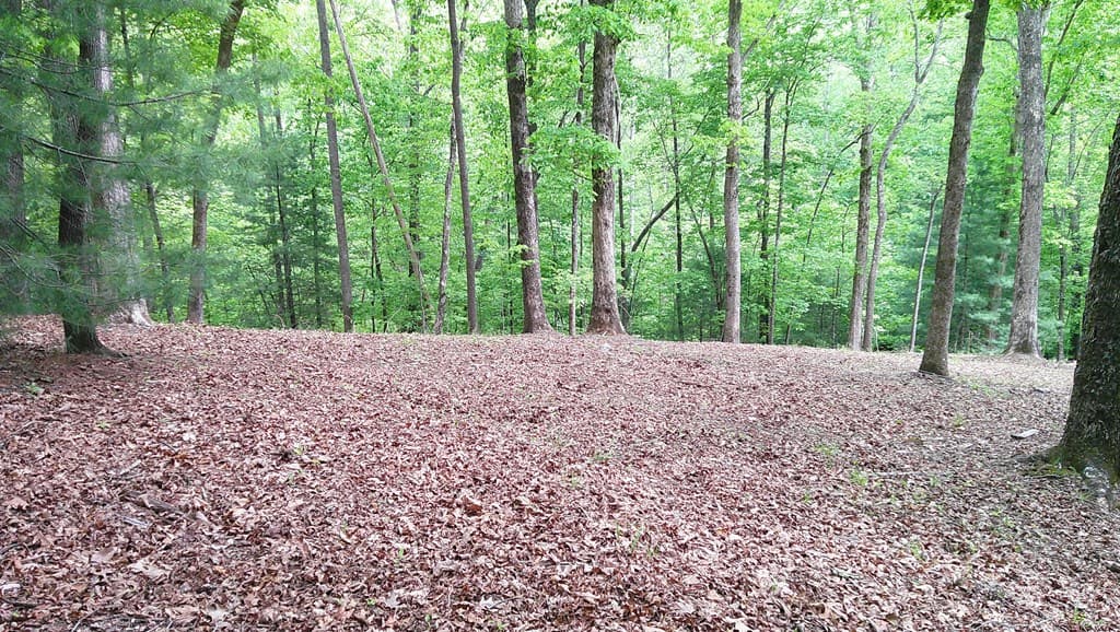 00 Tracks Hollow, Murphy NC 28906 - Photo
