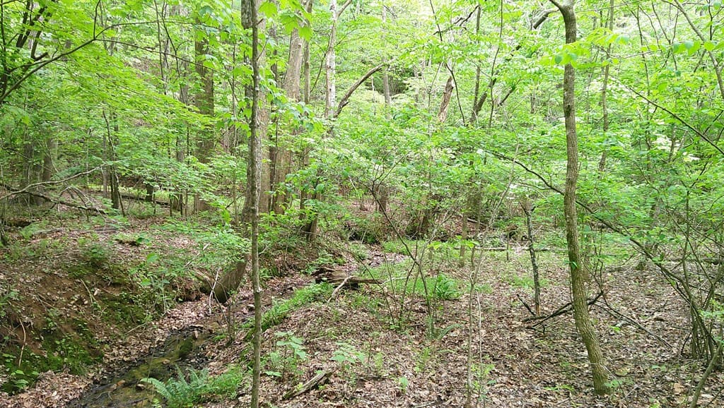 00 Tracks Hollow, Murphy NC 28906 - Photo
