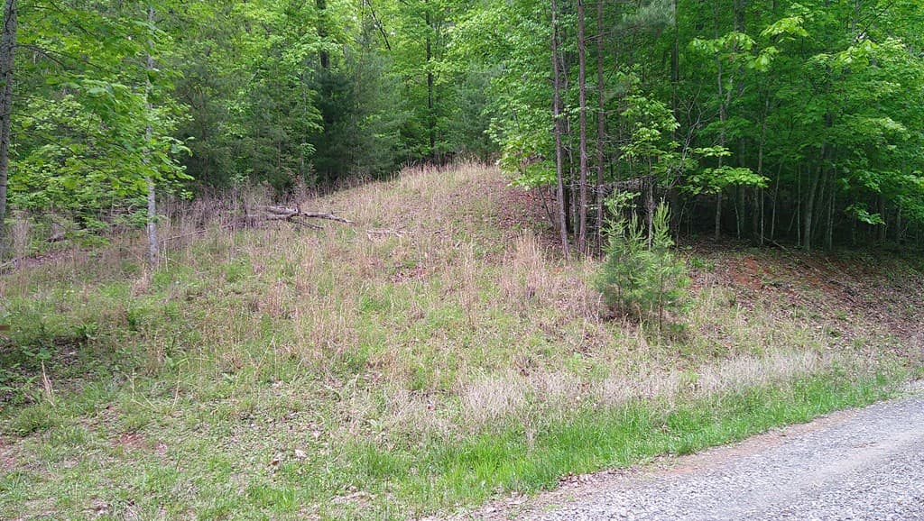 00 Tracks Hollow, Murphy NC 28906 - Photo