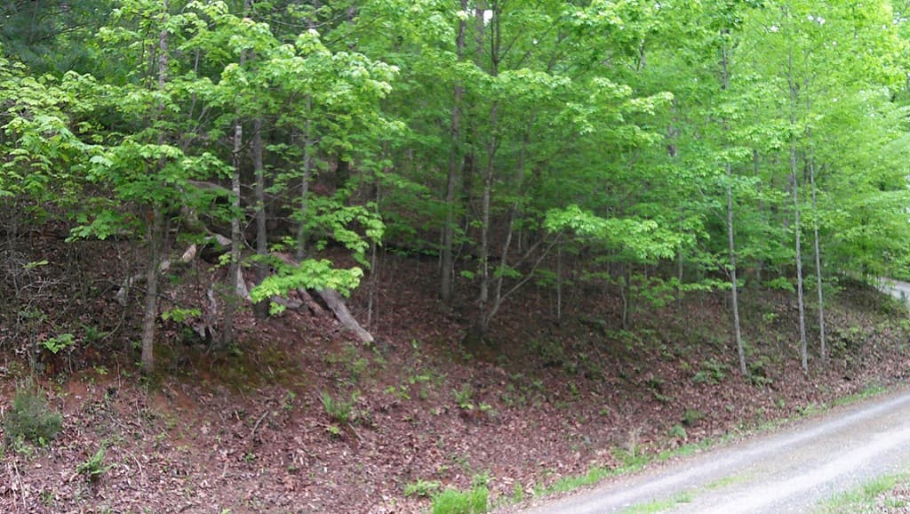 00 Tracks Hollow, Murphy NC 28906 - Photo