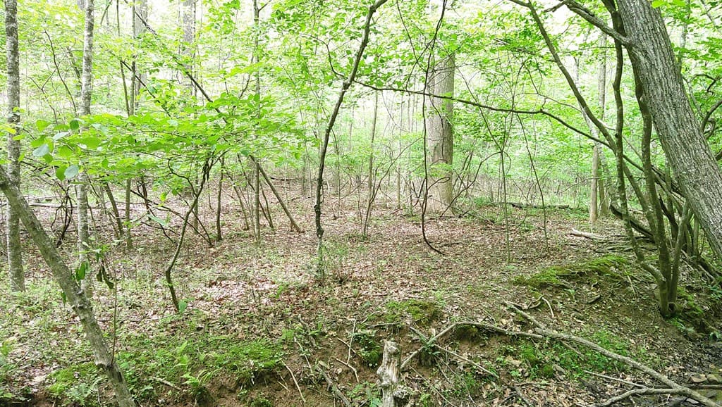 00 Tracks Hollow, Murphy NC 28906 - Photo