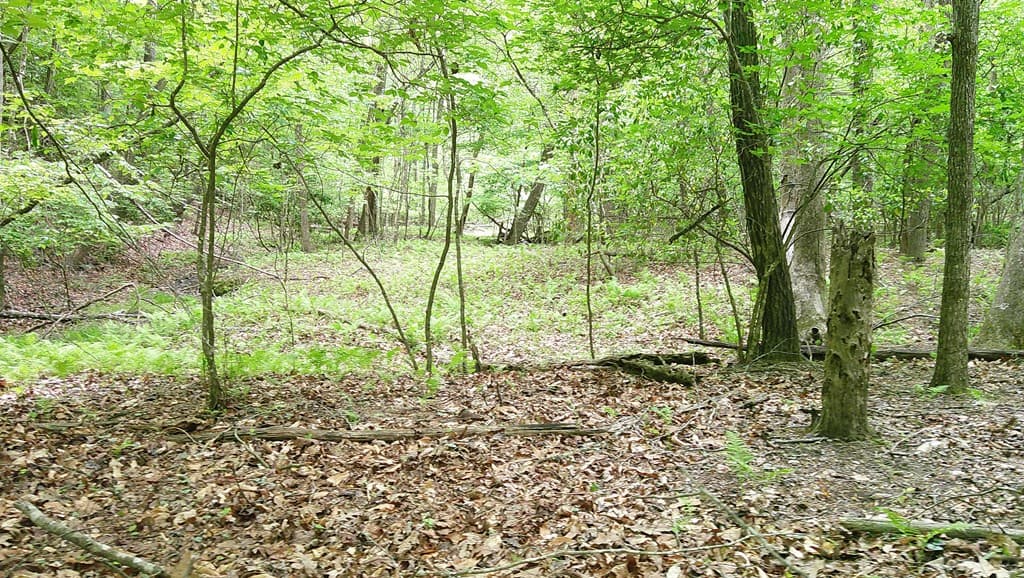 00 Tracks Hollow, Murphy NC 28906 - Photo