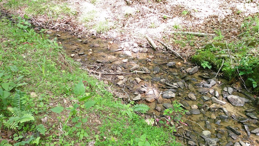 00 Tracks Hollow, Murphy NC 28906 - Photo