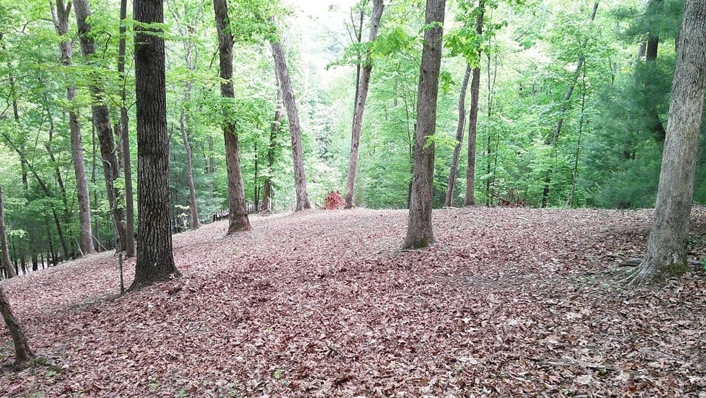 00 Tracks Hollow, Murphy NC 28906 - Photo