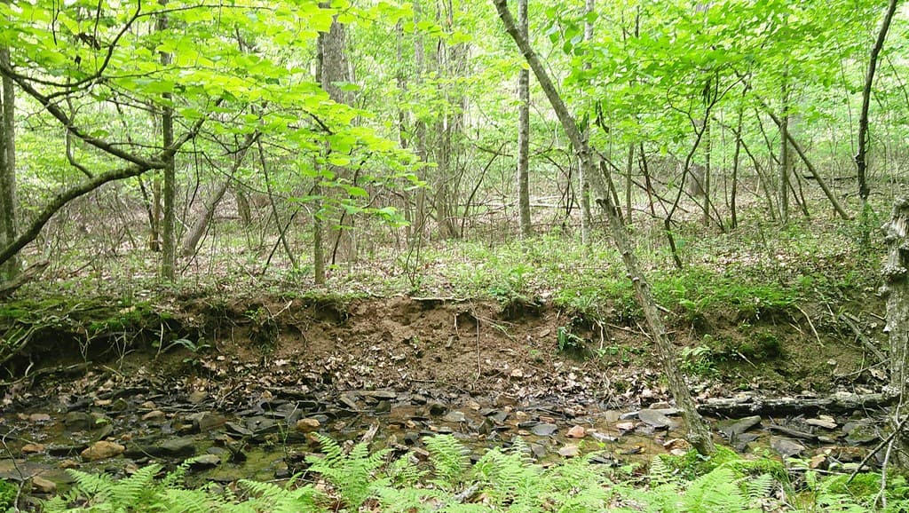 00 Tracks Hollow, Murphy NC 28906 - Photo