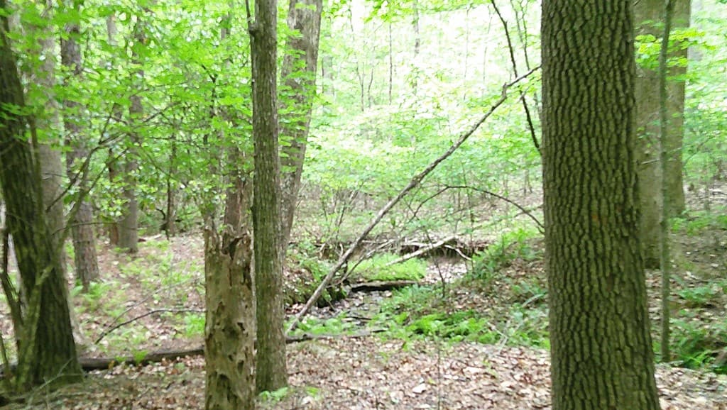 00 Tracks Hollow, Murphy NC 28906 - Photo