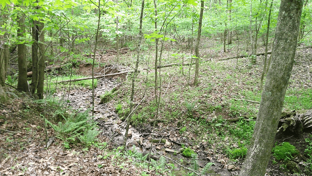 00 Tracks Hollow, Murphy NC 28906 - Photo