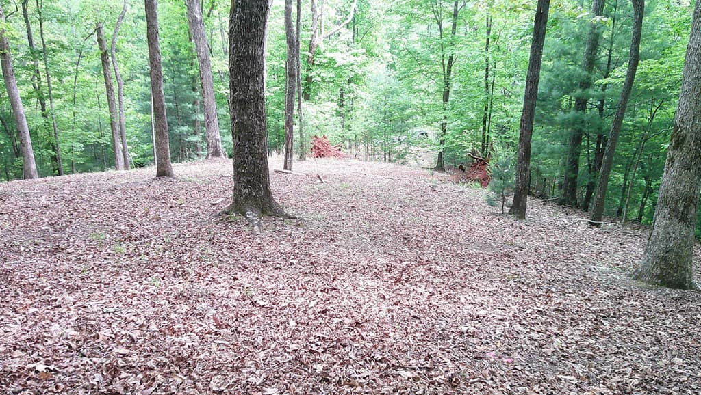 00 Tracks Hollow, Murphy NC 28906 - Photo