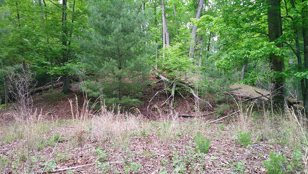 00 Tracks Hollow, Murphy NC 28906 - Photo
