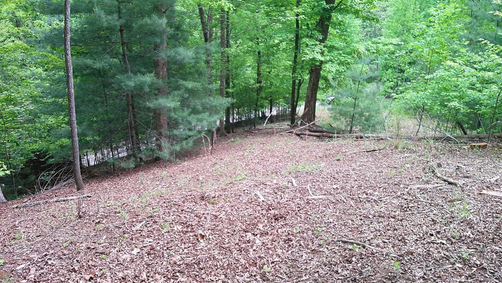 00 Tracks Hollow, Murphy NC 28906 - Photo