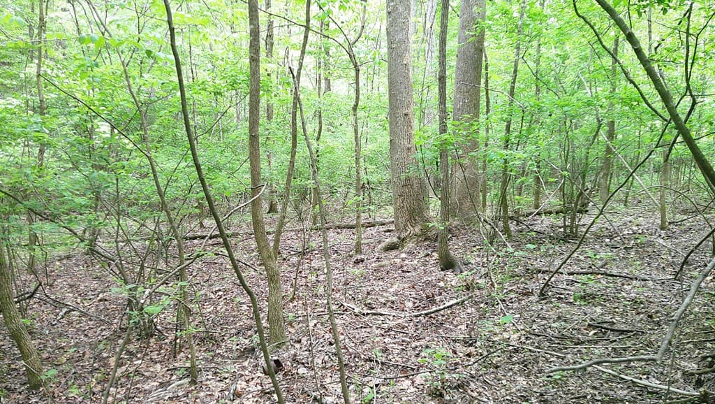 00 Tracks Hollow, Murphy NC 28906 - Photo