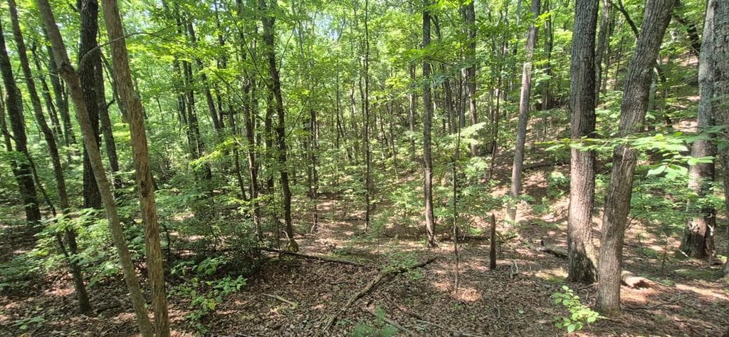 3.4 acre Peach Lane, Ellijay GA 30536 - Photo