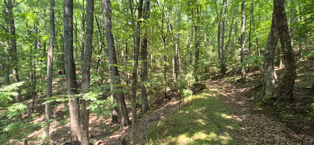 3.4 acre Peach Lane, Ellijay GA 30536 - Photo