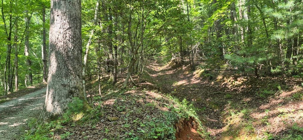 3.4 acre Peach Lane, Ellijay GA 30536 - Photo